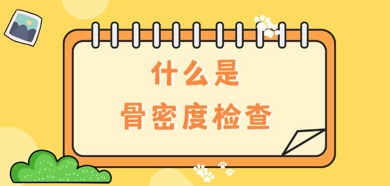 【雙能x線骨密度儀】什么是骨密度檢查？該怎么查？