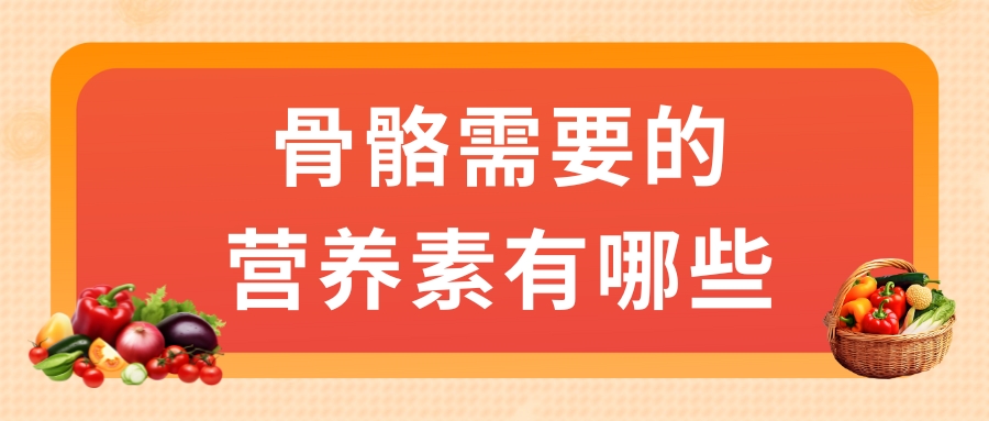 骨骼需要的營養素有哪些?